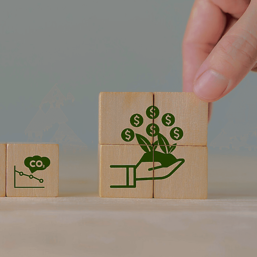 Carbon Border Adjustment Mechanism: A Bridge Between Climate Action and Trade