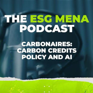 Carbonaires: Carbon credits, policy and AI