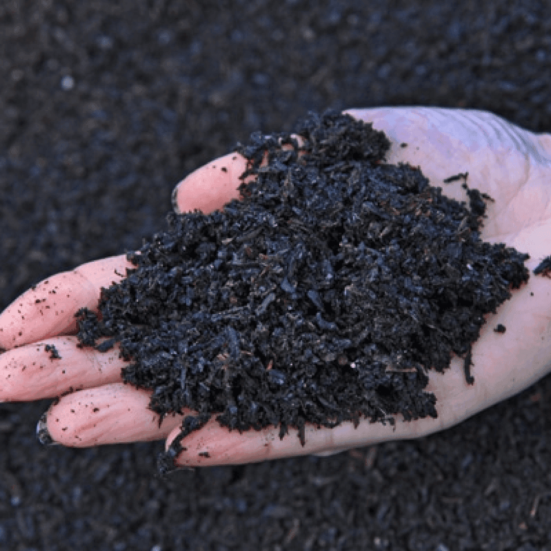 Uncovering the benefits of biochar: A sustainable solution for a better tomorrow