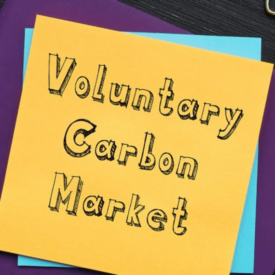 Voluntary Carbon Market