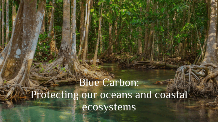 Blue Carbon: Protecting our oceans and coastal ecosystems