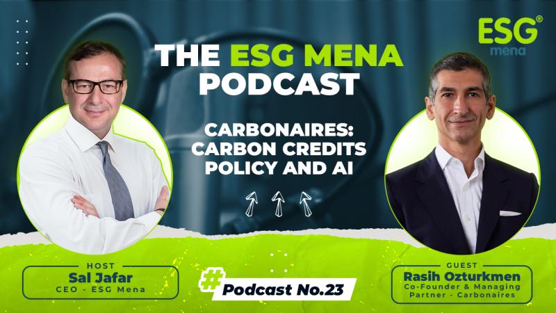 Carbonaires: Carbon credits, policy and AI