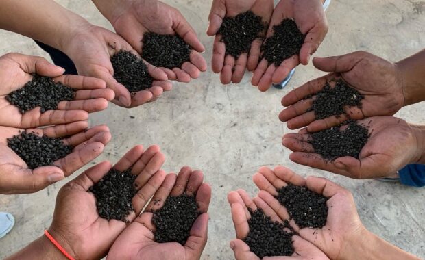 Sustainable Business Magazine: How Klarna, HUSK and Carbonaires are tackling climate change with biochar