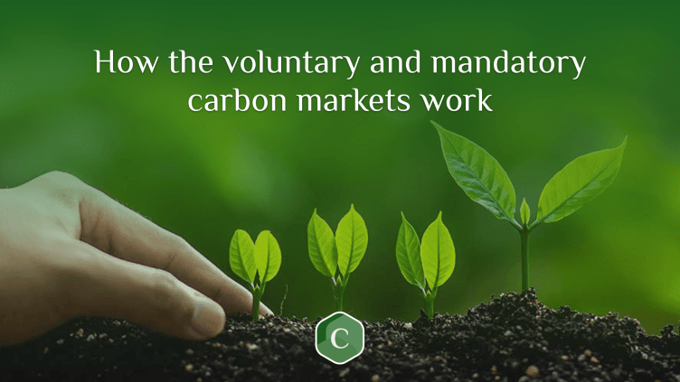 How the voluntary and mandatory carbon markets work