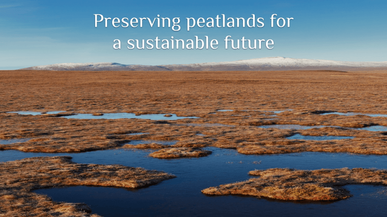 Preserving peatlands for a sustainable future