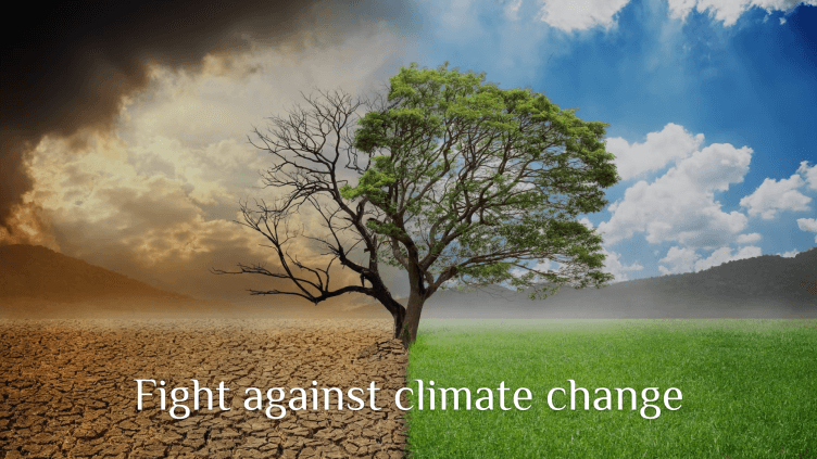 Responsible carbon offsets: Essential in the fight against climate change