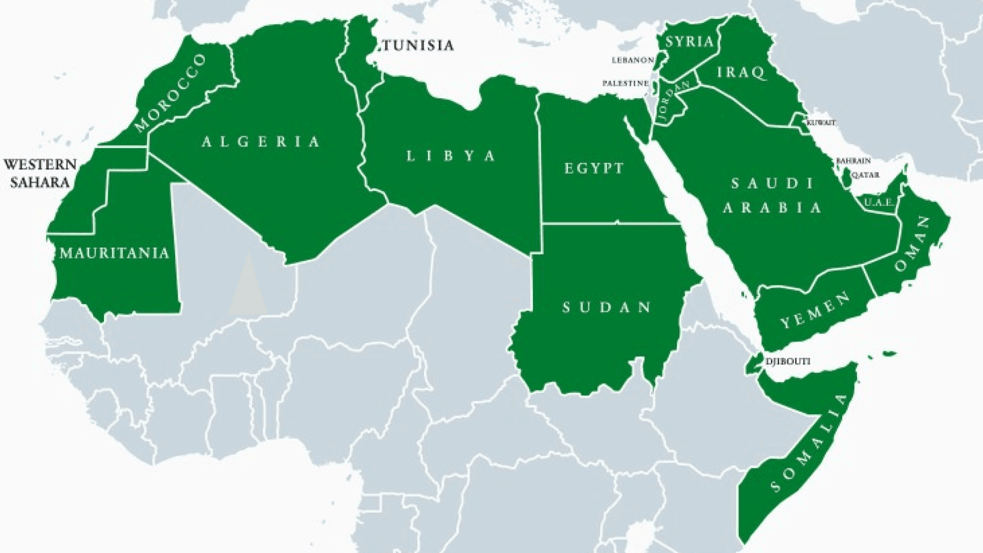 Tackling Climate Change in the MENA Region