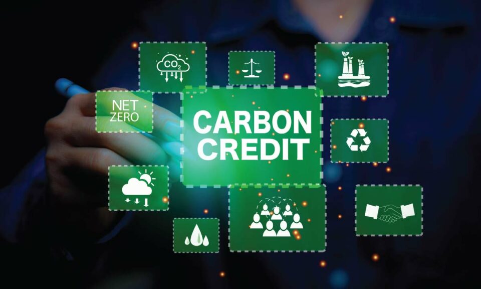The GCC can lead the global push toward high‑integrity carbon credit markets