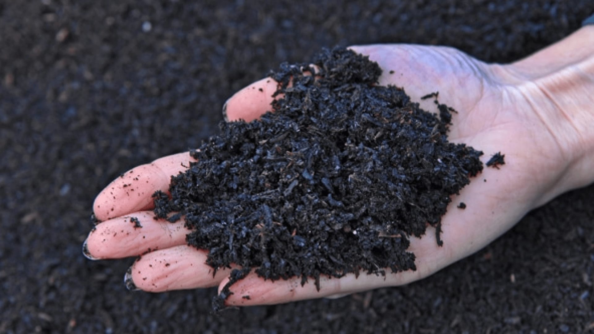 Uncovering the benefits of biochar: A sustainable solution for a better tomorrow