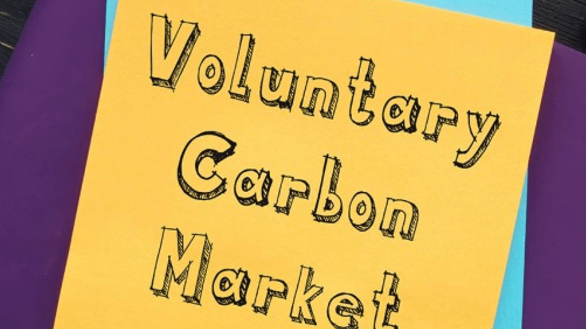 Voluntary Carbon Market